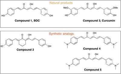 Curcumin and Novel Synthetic Analogs in Cell-Based Studies of Alzheimer’s Disease